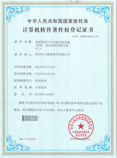 視頻監控行為識別分析系統