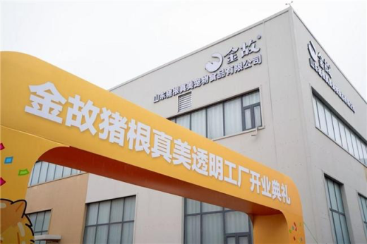 金故透明工廠實(shí)時透明直播 開創(chuàng)"云監(jiān)工"式全民監(jiān)督模式